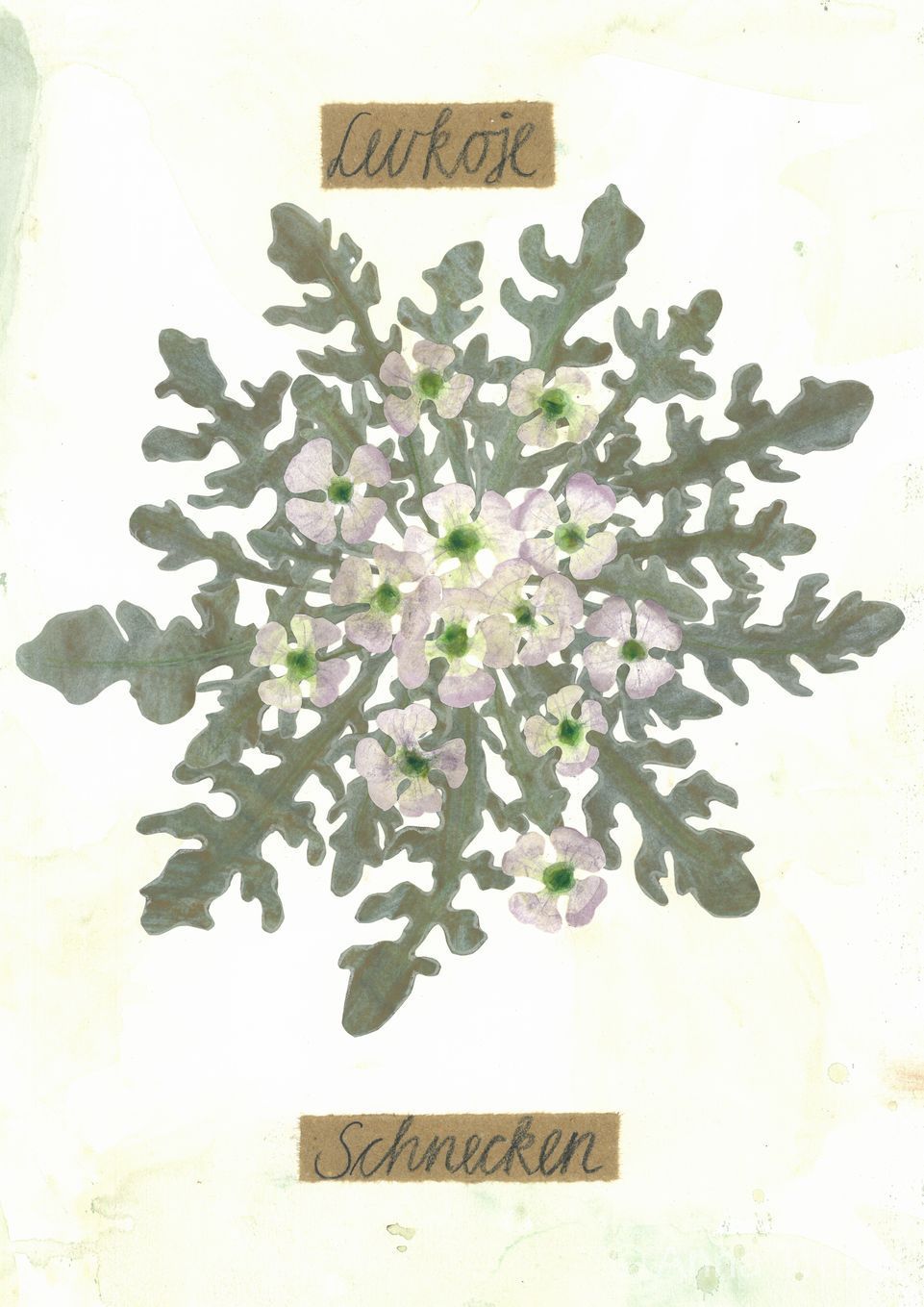 post-thumb-books/Herbarium/S11.jpg