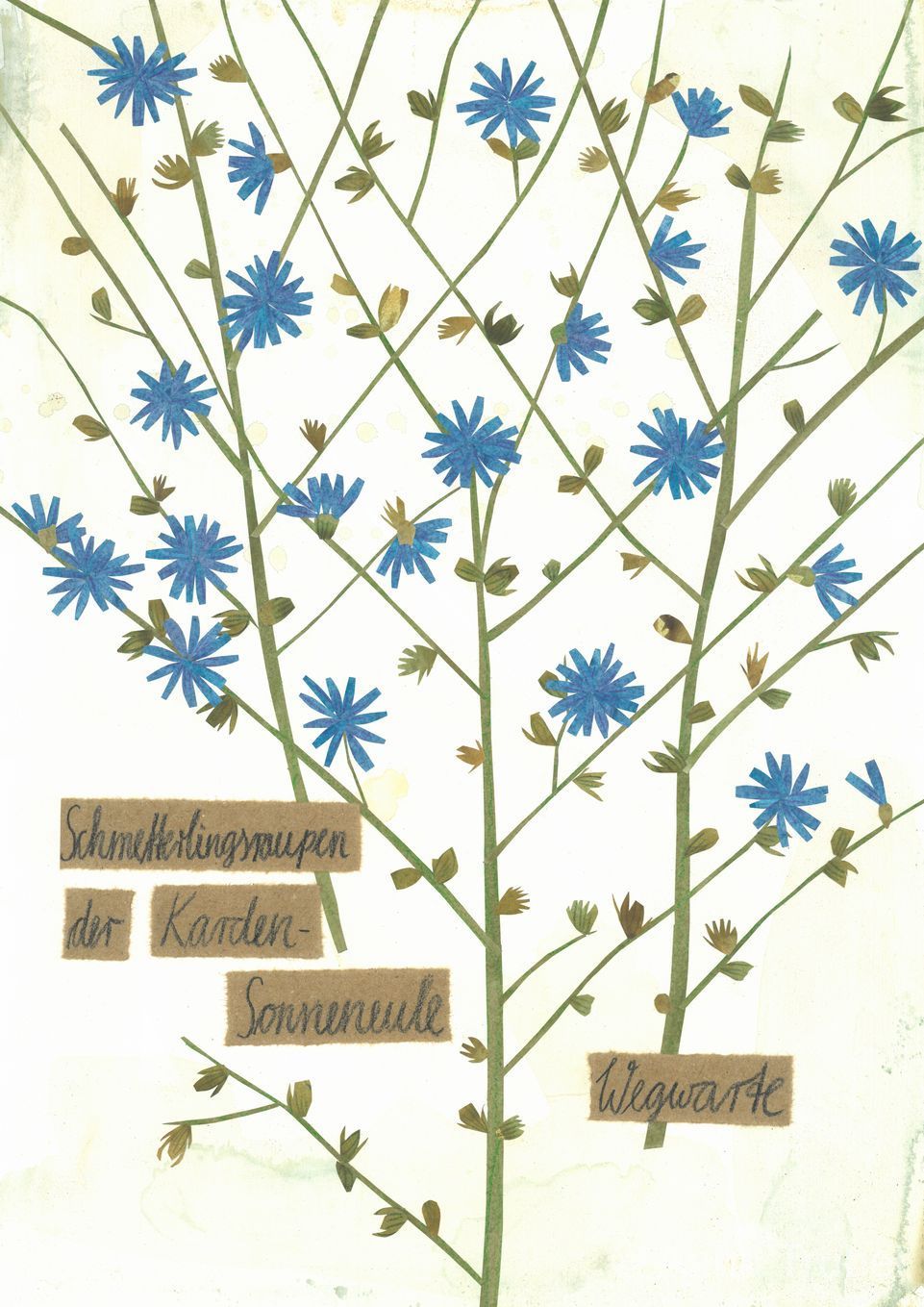post-thumb-books/Herbarium/S25.jpg